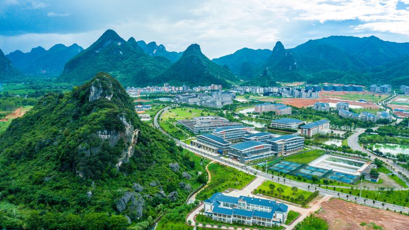 在谈判成功后，要仔细阅读合同条款，确保自身权益。以下是一些需要注意的条款：